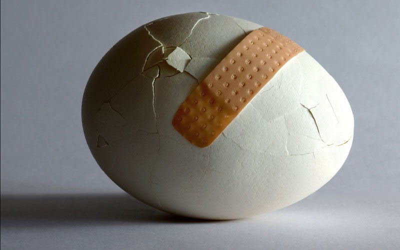 polymer-egg-shells.jpg