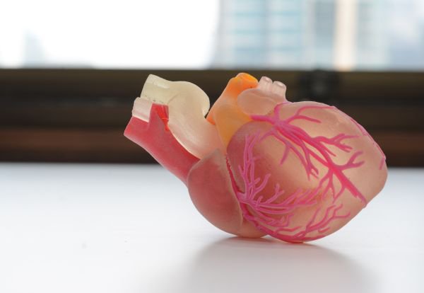 p14 and 16 heart 3D Printing Medical_1.jpg