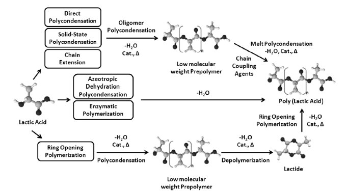 Polymerisation of lactic acid