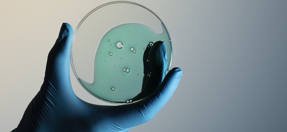 Petri Dish.jpg